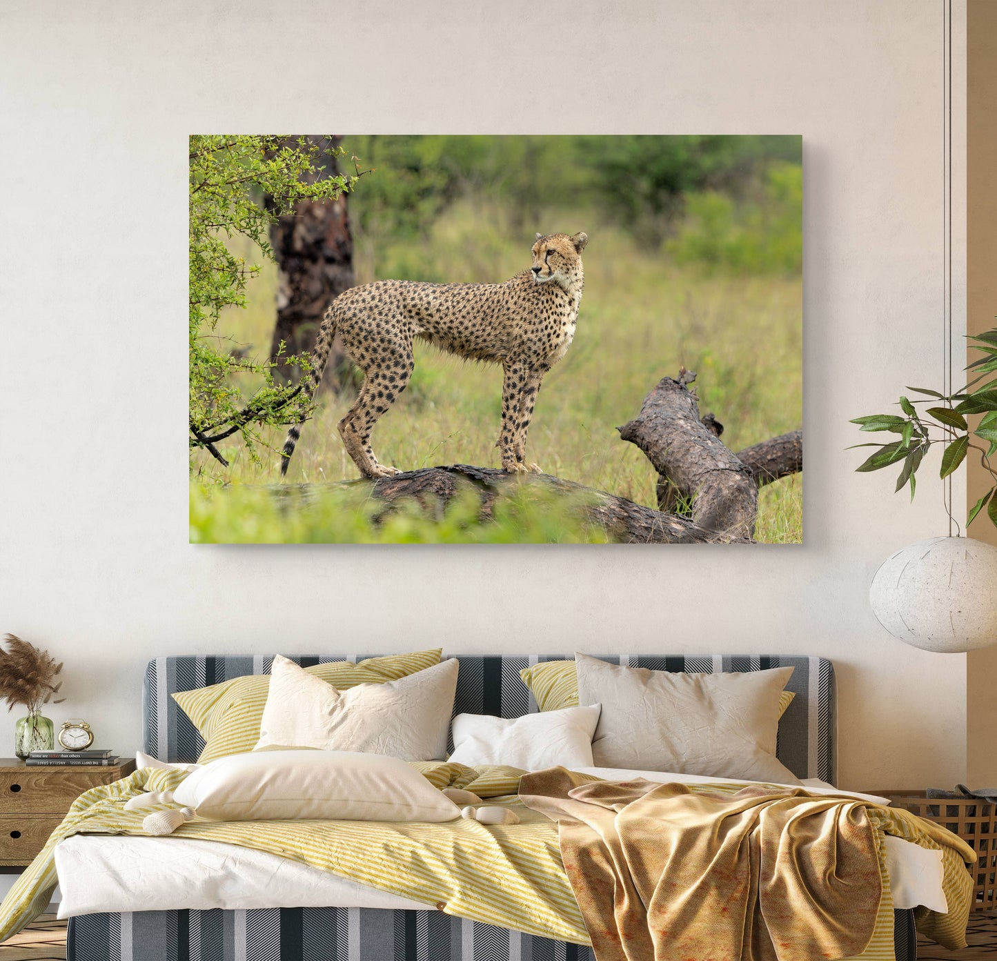 Majestic Cheetah