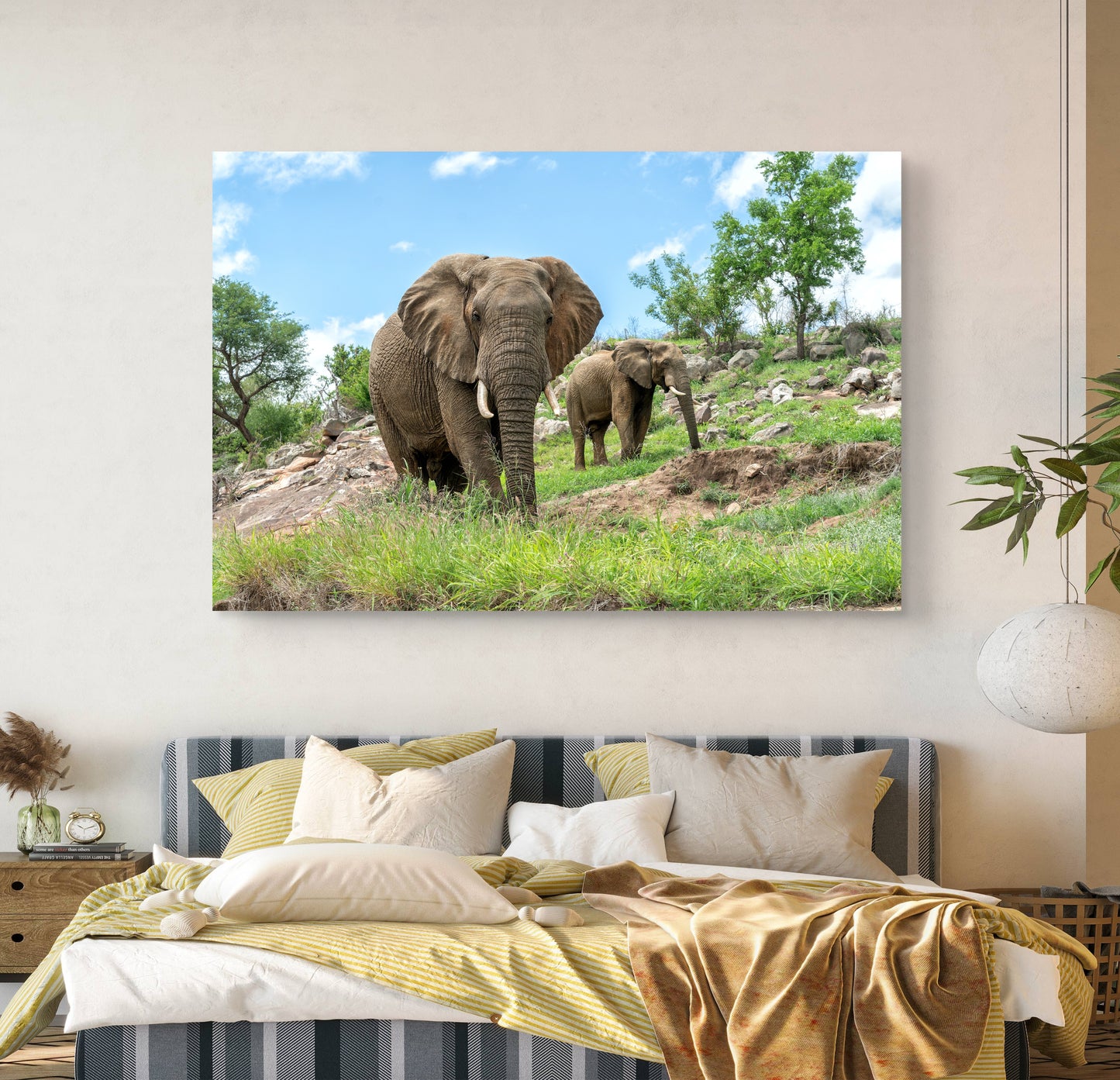 Elephants on the Rocks