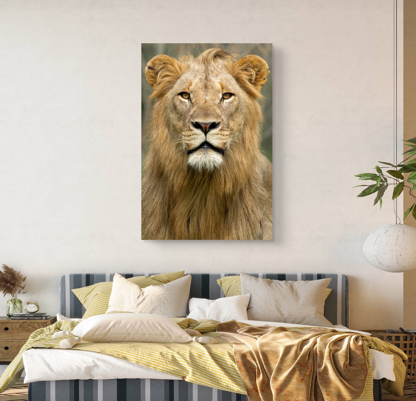 Male Lion