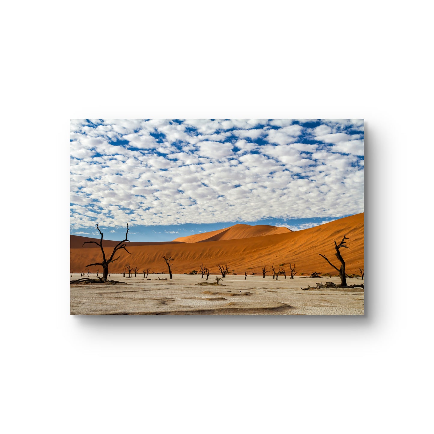 Namibian Landscape