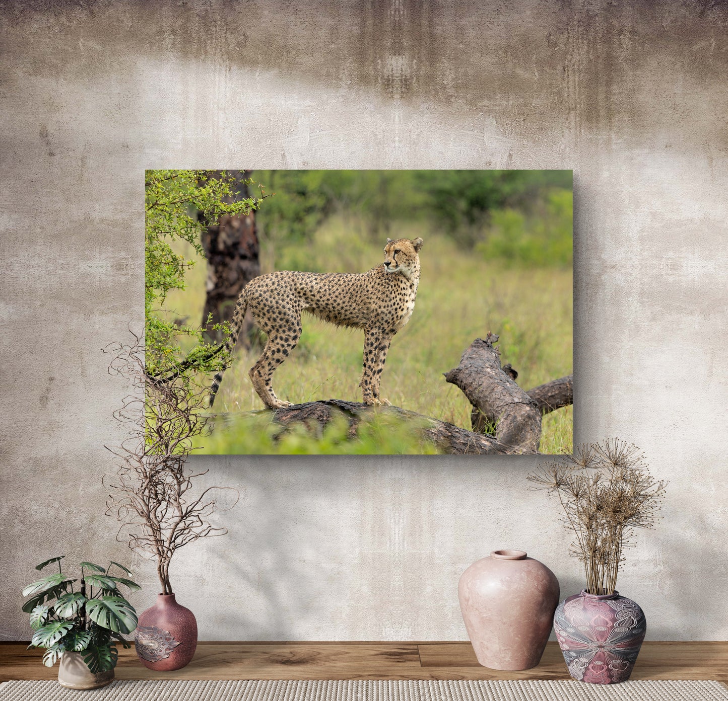 Majestic Cheetah