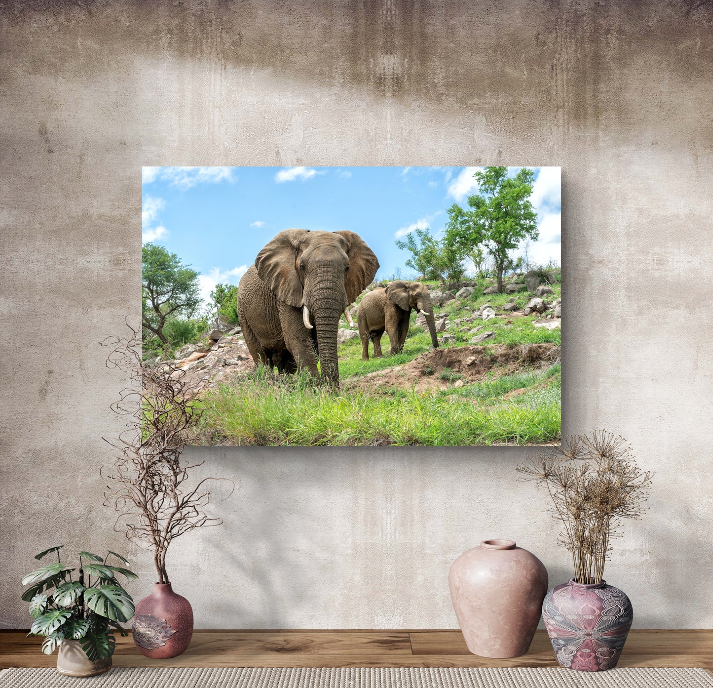 Elephants on the Rocks