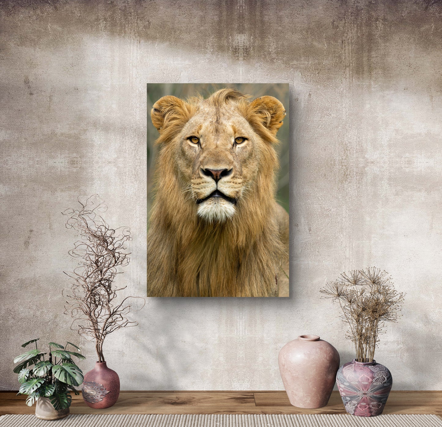 Male Lion