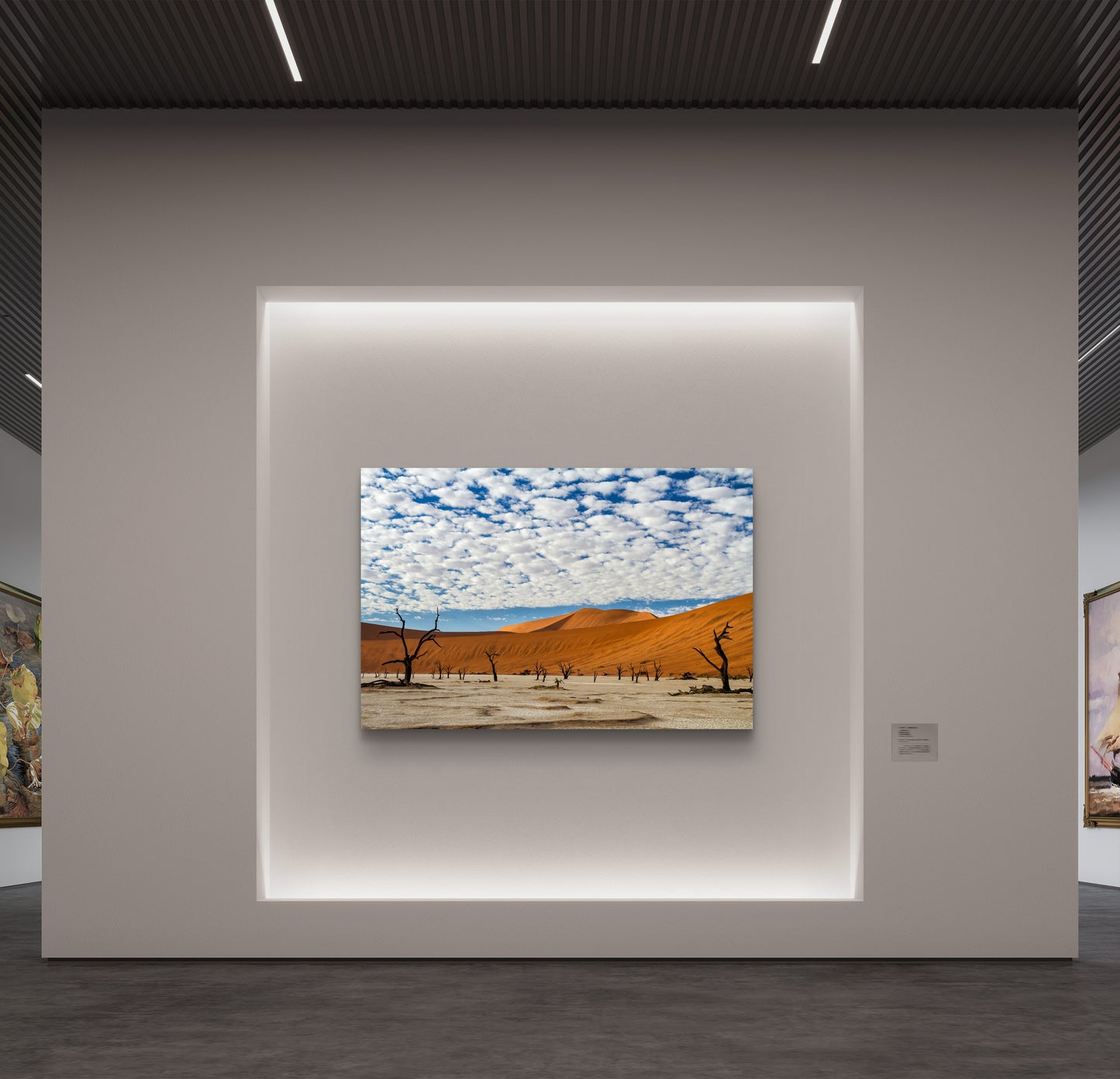 Namibian Landscape
