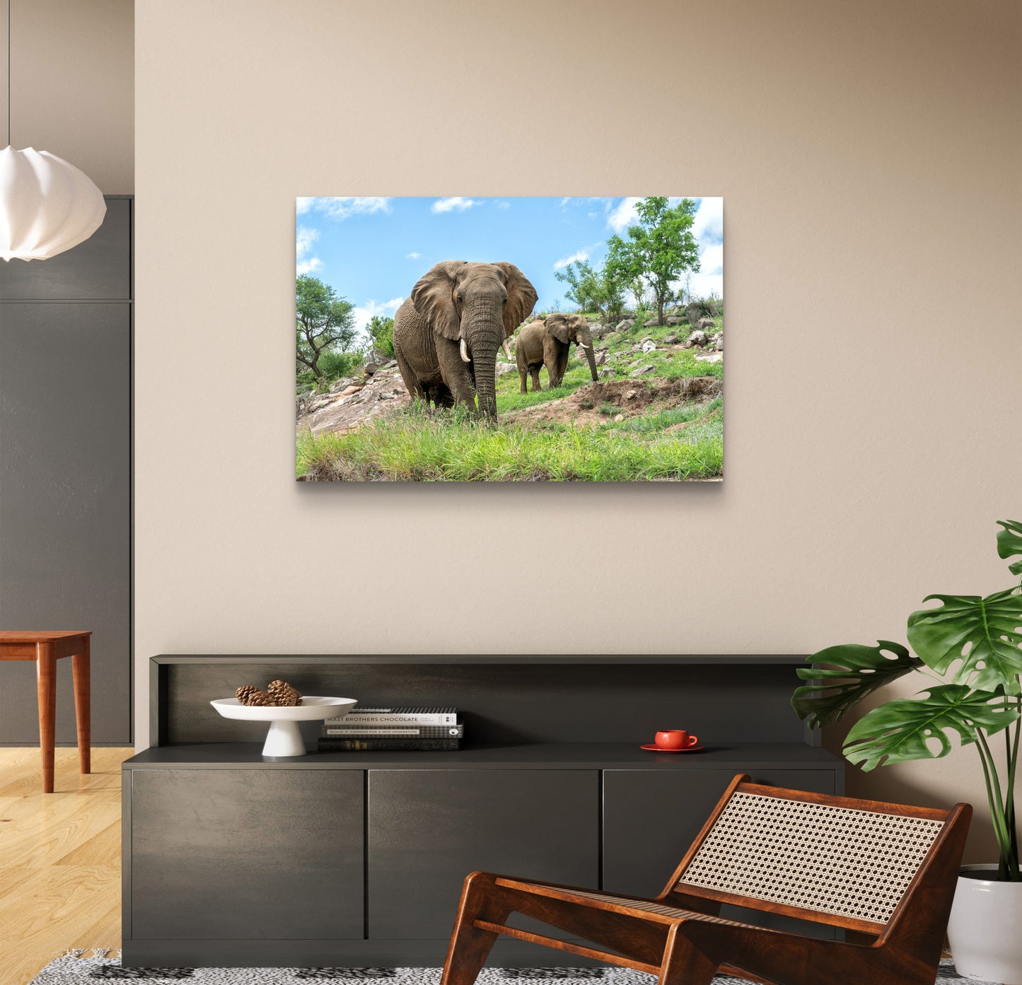 Elephants on the Rocks