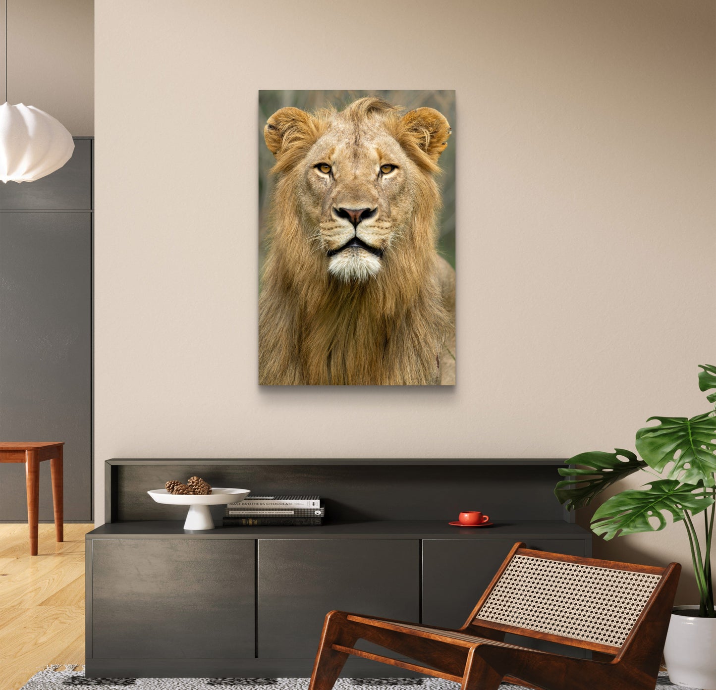 Male Lion