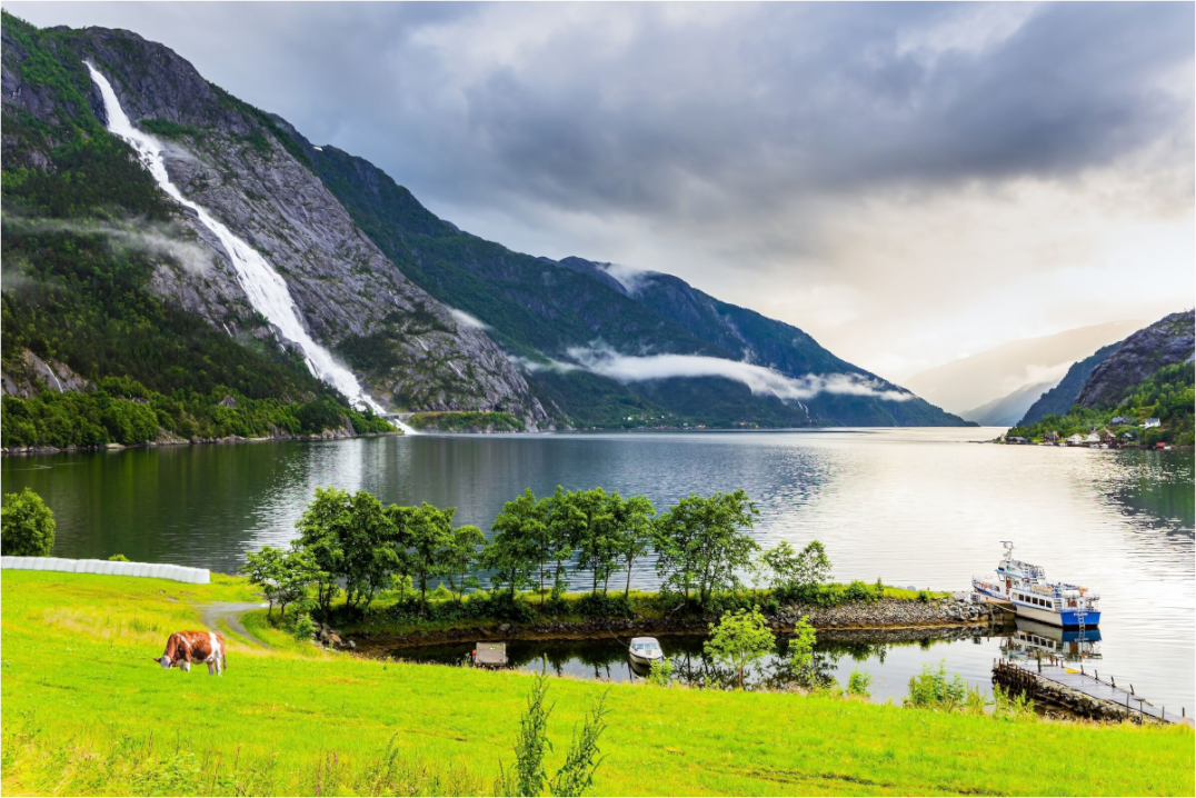 Norwegian Summer