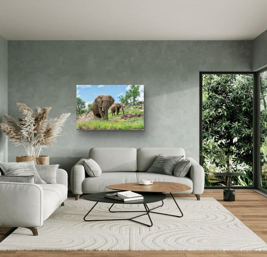 Elephants on the Rocks