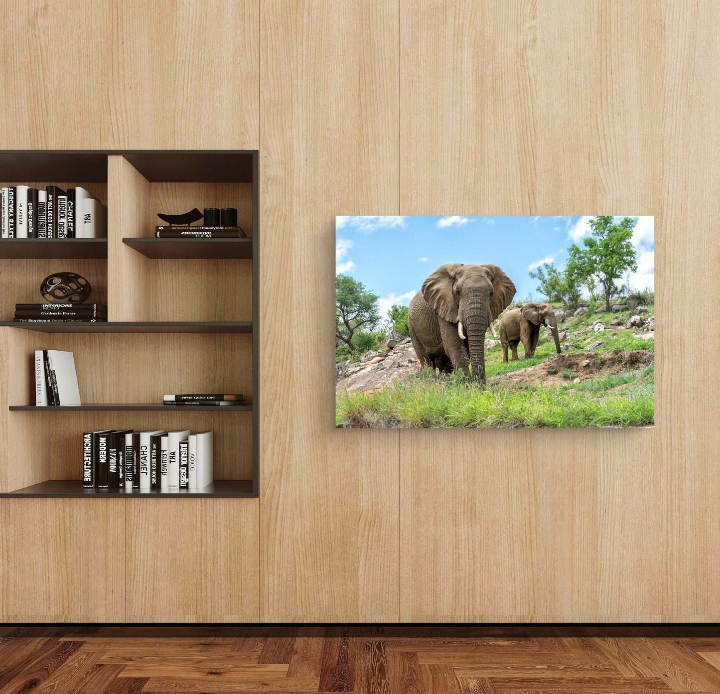 Elephants on the Rocks