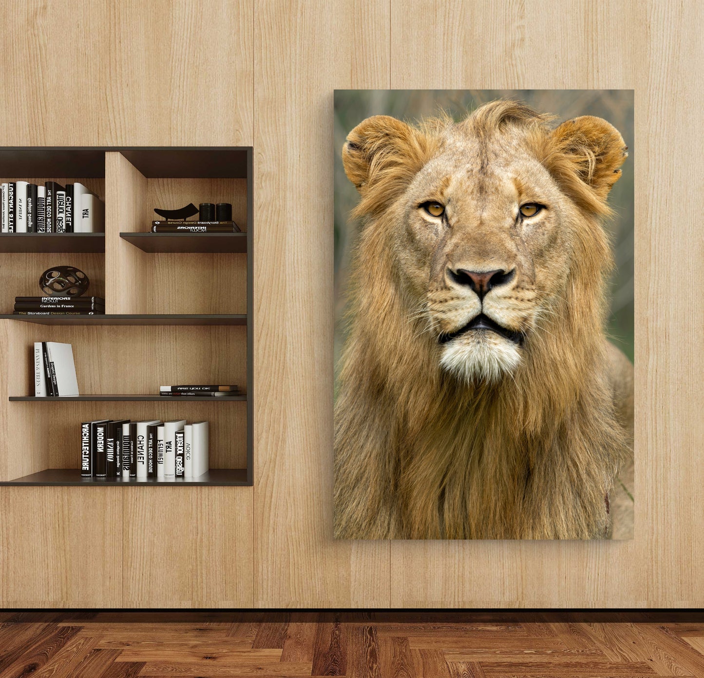Male Lion