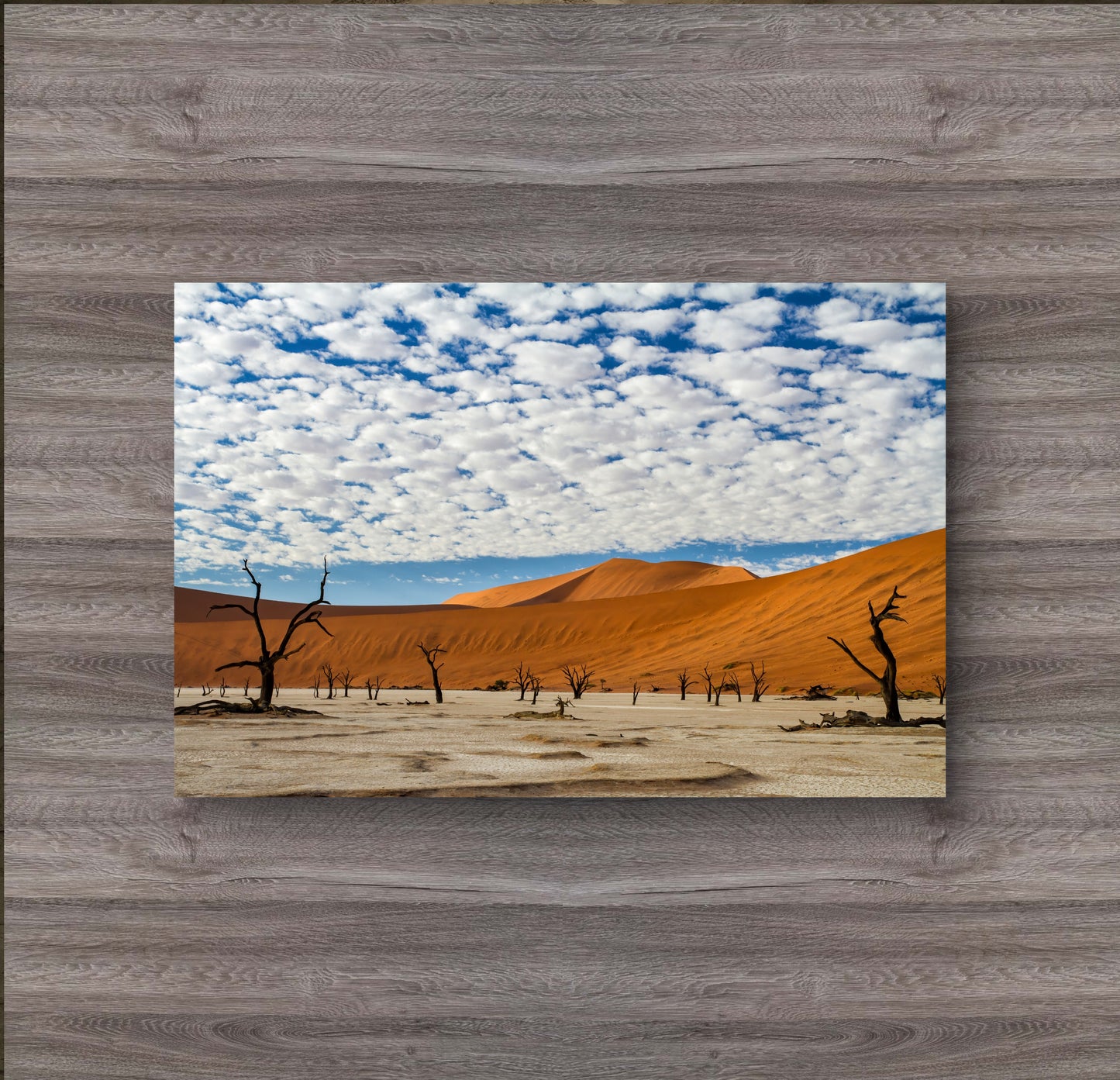 Namibian Landscape