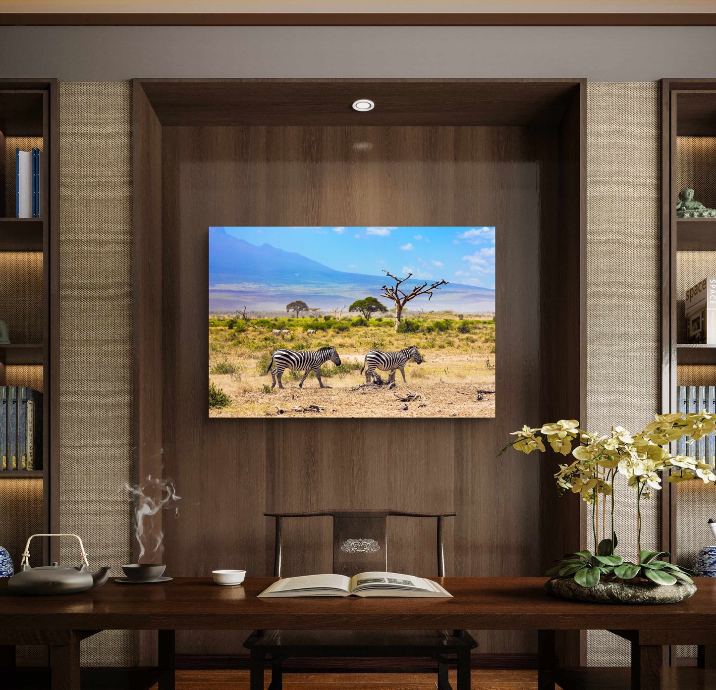 Zebras in African Savannah