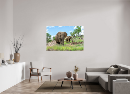 Elephants on the Rocks