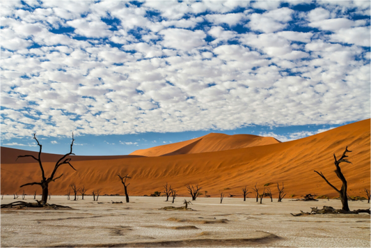 Namibian Landscape