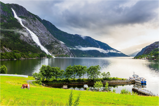 Norwegian Summer